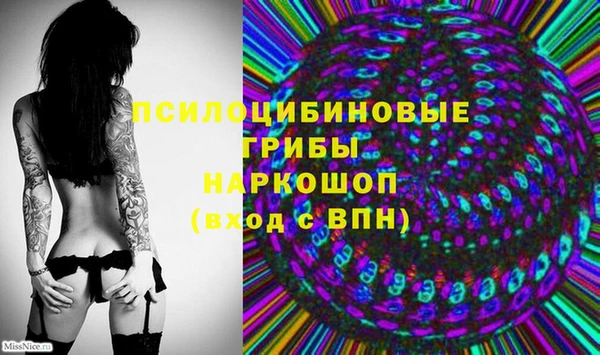 а пвп мука Верея