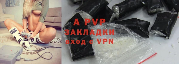 ГАЛЛЮЦИНОГЕННЫЕ ГРИБЫ Бородино