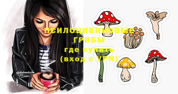 спиды Бугульма