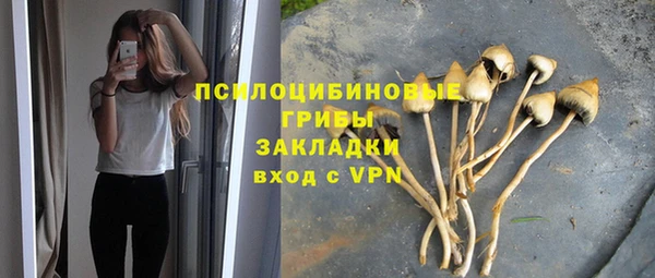 тгк Верхний Тагил