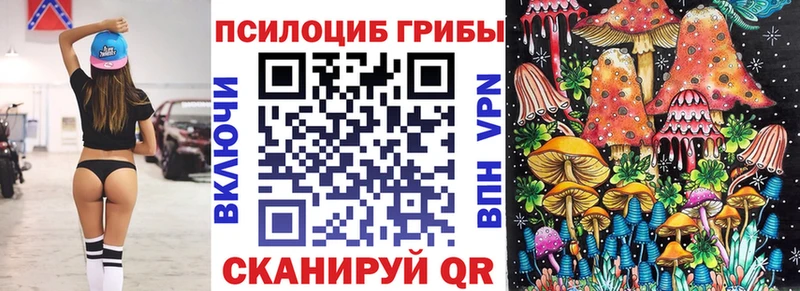 Галлюциногенные грибы Psilocybine cubensis Называевск